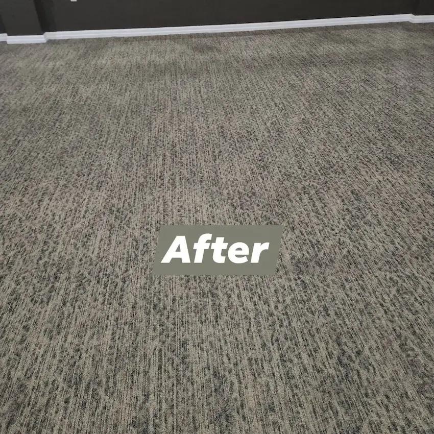 Carpet cleaning result after profesional deep cleaning