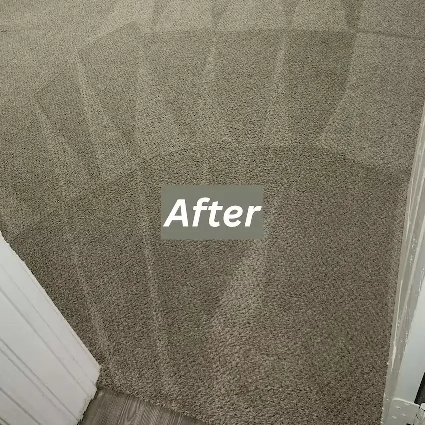 residential carpet cleaning after professional