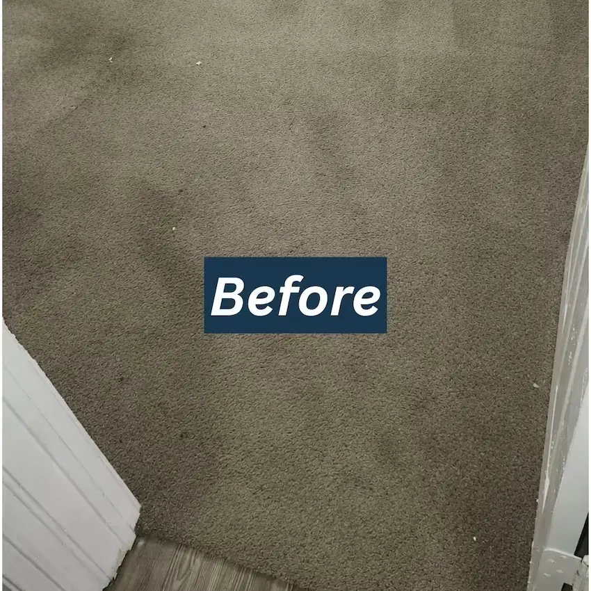 residential carpet cleaning before professional